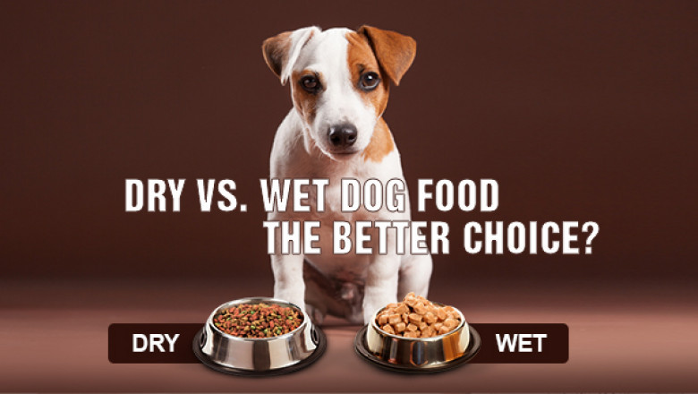 Dry vs. Wet Dog Food – The better choice?