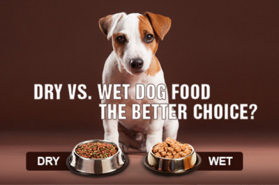 Dry vs. Wet Dog Food – The better choice?