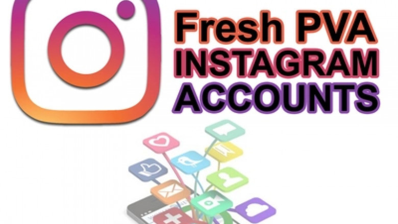 Why Instagram PVA Accounts are Important for Business?