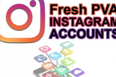 Why Instagram PVA Accounts are Important for Business?