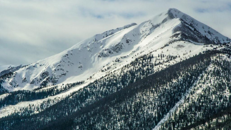 10 celebrities who should consider a career in new blong