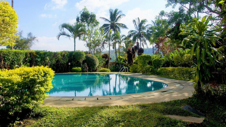 Experience the Bliss of Monsoons in Coorg
