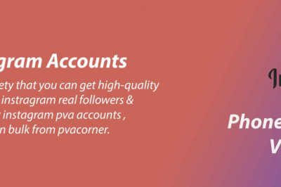 What are Instagram PVA Accounts and what are its components?