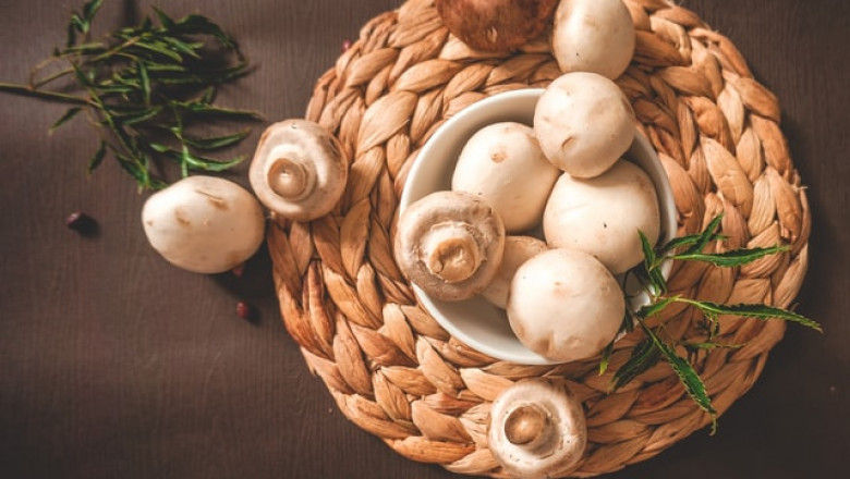 5 Most Profitable Crops to Grow