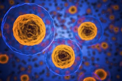 Host Cell Protein Testing Market: Industry Analysis, Opportunity and Forecast to 2027
