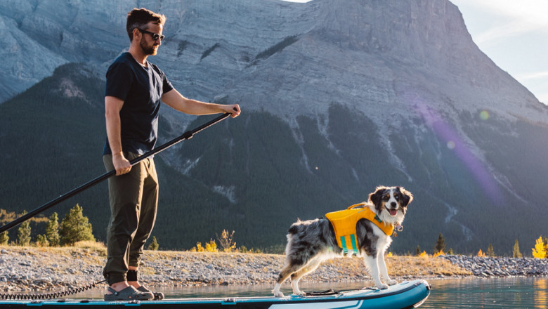 3 Reasons to Bring Your Pet Paddle Boarding!