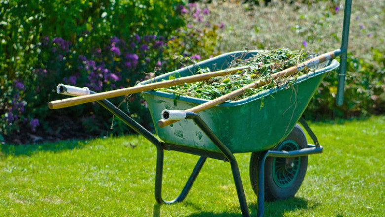 5 reasons why Choose Kangaroo Paw Landscapers: