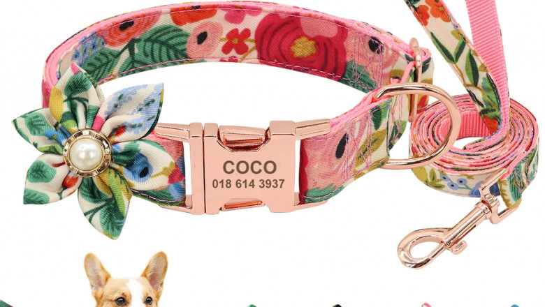 Online Pet Accessories store in the USA | Buy Floral dog collar