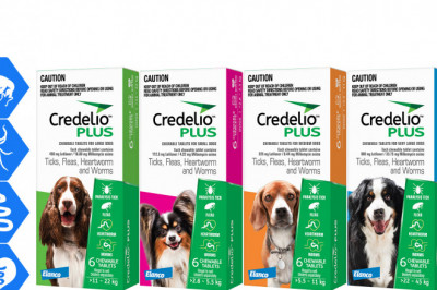 Credelio Plus 6 Chews for All Sizes Dogs Flea Tick Heartworm Control