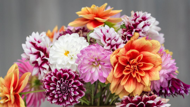 Top 7 Mother's Day Gift Ideas to Look for
