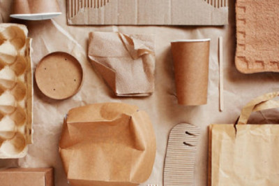Biodegradable Paper and Plastic Packaging Market by Type (Plastic and Paper), Material, End-User with COVID19 Impact, Forecast By 2028