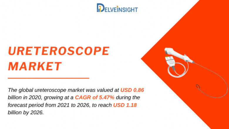 What is the Ureteroscope Market Competitive Landscape?