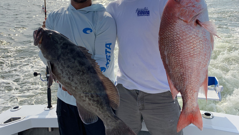 Mississippi Gulf Coast Fishing Charters