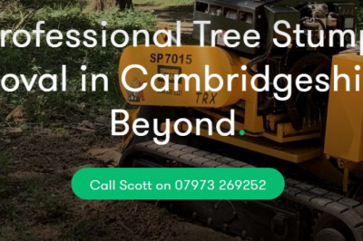 Characteristics You need To understand To discover A Reputable Stump Grinding Professional