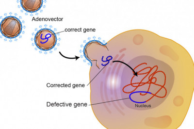 Gene Therapy Market Report Forecast 2022-2030 By Price, Trend and Growth
