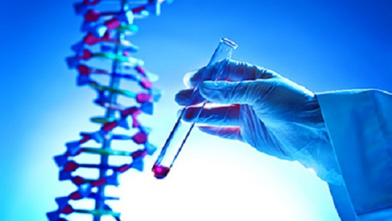 How much does DNA testing cost in India?