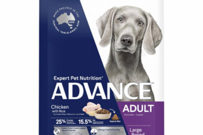 ADVANCE Adult Large Breed Chicken with Rice | DiscountPetCare