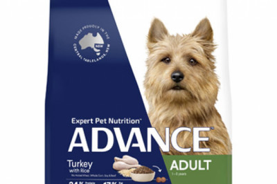 ADVANCE Small Adult Dry Dog Food Turkey with Rice Online