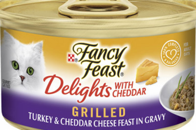 Fancy Feast Cat Adult Delights Cheddar Turkey | DiscountPetCare