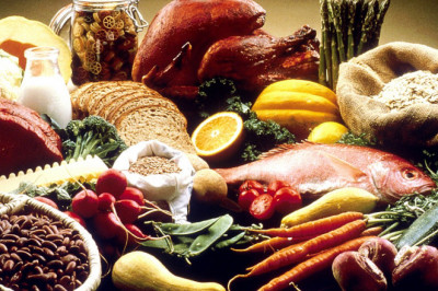 Food Fitness Concepts-Food Fitness @