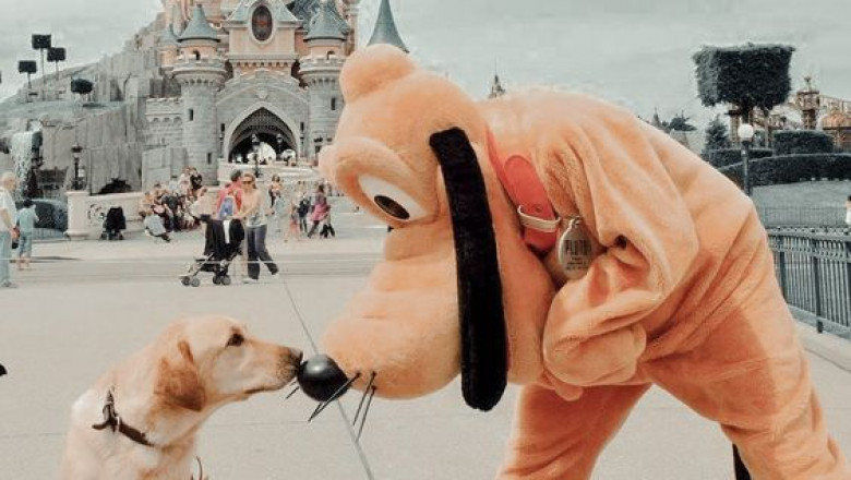 TRON Ride Disney World | My Disney Days