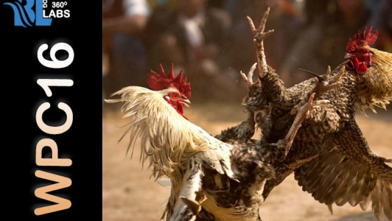 Best Guide For WPC16 Dashboard