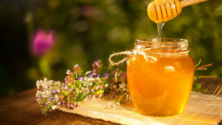 Making kombucha involves letting bacteria grow in Liquid