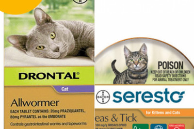 Seresto Flea Collar + Drontal Combo Pack For Cats 4Kg
