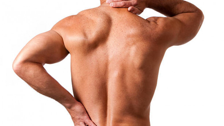 Things you Must Know About Bertolotti Syndrome