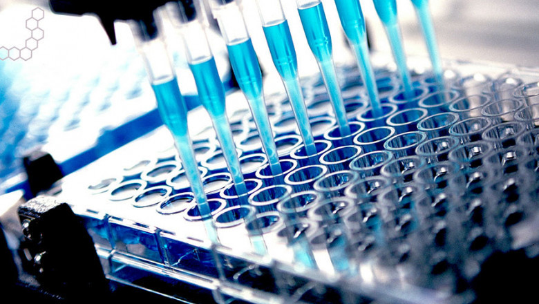 Why Cell-Based Assay Is?