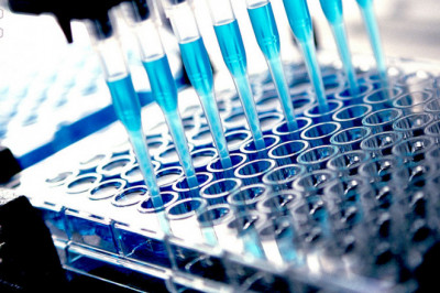 Why Cell-Based Assay Is?