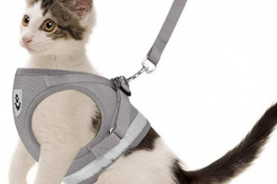 Buy The GAUTERF Visibility Pet Harness & Leash – Find Quality Ones