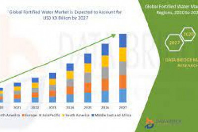 Fortified Water Market Growth New Business Opportunities and Challenges, Upcoming Trends, Future Planning & Forecast to 2028