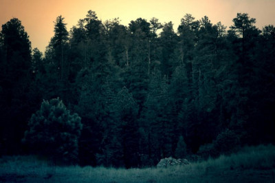 leafreport half of cbg products tested dont meet label