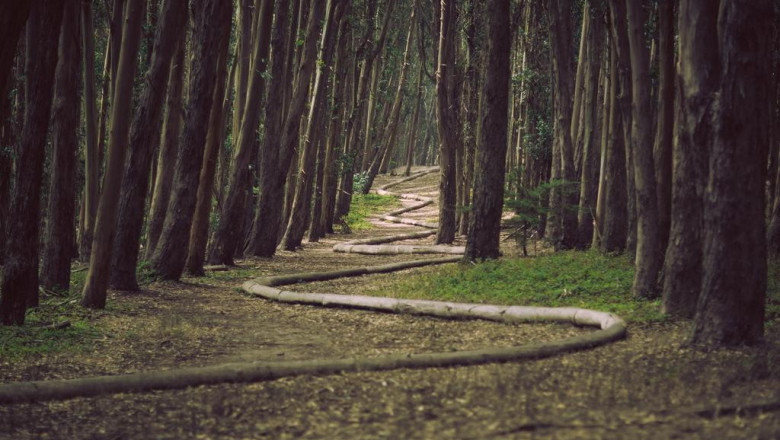 use time money energy and emotions wisely inside your job search