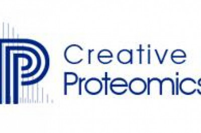 Vitamins: Types and Their Functions