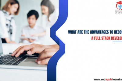 What are the Advantages to Become a Full- Stack Developer?