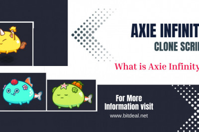 What Is Axie Infinity?