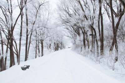 25 surprising facts about dkstyle