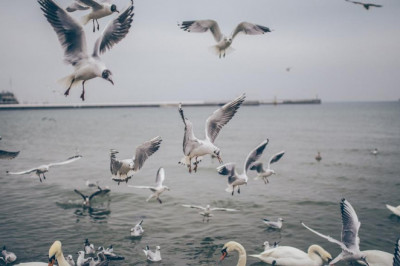 10 nofuss ways to figuring out your quicksilver