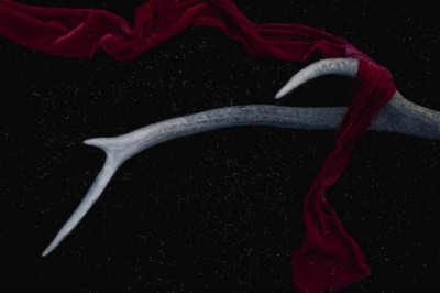 25 surprising facts about liver cleansing