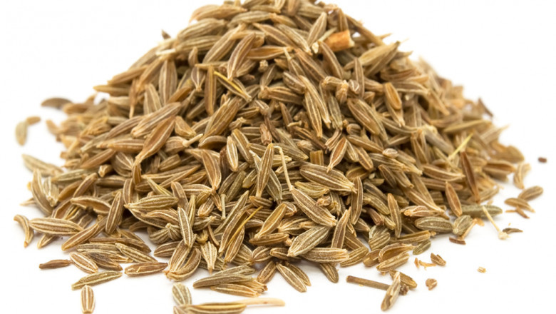 Caraway Oil