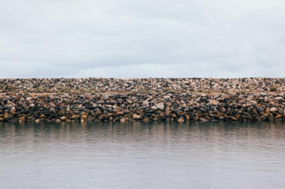 the most underrated companies to follow in the plant esters clove industry