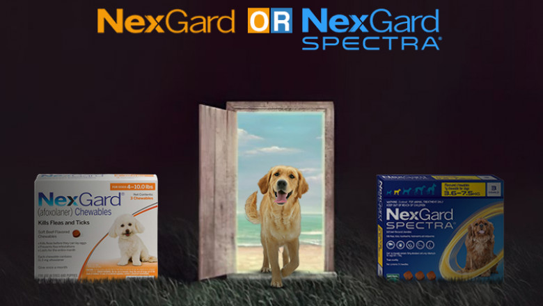 Which One is Best: Nexgard Or Nexgard Spectra?