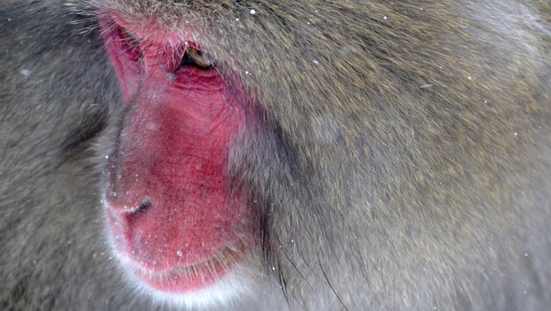 almaarefa university lms things to know before you buy