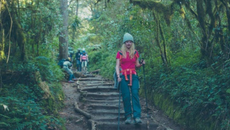 Best Experience To Climb Mount Kilimanjaro | Follow Alice