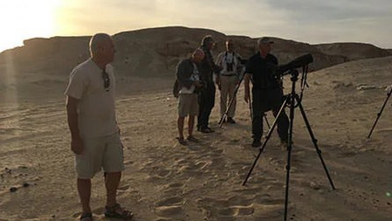 Bird Watching Tours Kuwait