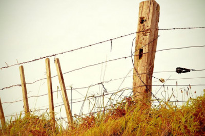 from around the web 20 awesome photos of ifza uae
