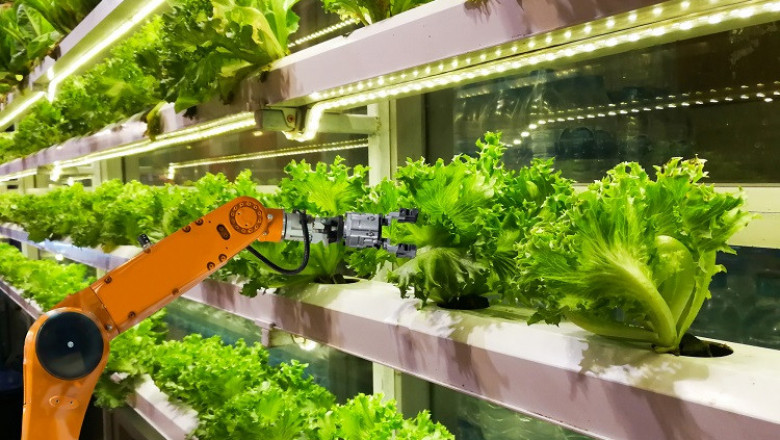 Global Vertical Farming Market Size, Share, Trends, Stats and Forecast 2022-2028