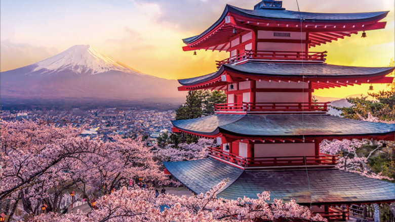 How Are Guided Tours in Japan Profitable?
